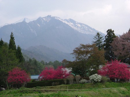 宮の森自然園からの爺ヶ岳