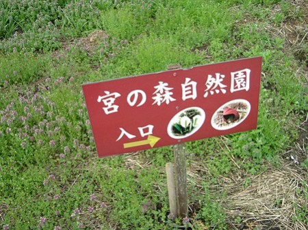 案内板