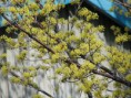 /album/%e6%9c%a8%e5%b4%8e%e6%b9%96%e5%91%a8%e8%be%ba%e3%81%ae%e3%81%8a%e6%95%a3%e6%ad%a9%e5%86%99%e7%9c%9f/a132186302-v1350655987-jpg/