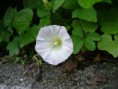 /album/%e6%9c%a8%e5%b4%8e%e6%b9%96%e5%91%a8%e8%be%ba%e3%81%ae%e3%81%8a%e6%95%a3%e6%ad%a9%e5%86%99%e7%9c%9f/a138693656-624-v1352994039-jpg/